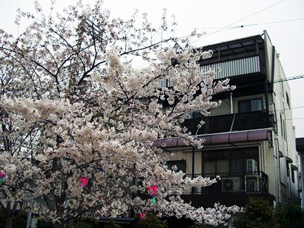 W.K Inn Osaka Exterior foto